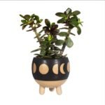 Calderone fasi lunari